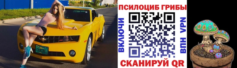Купить где  Калязин  Псилоцибиновые грибы мухоморы 